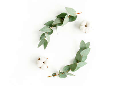 Wreath frame made of branches eucalyptus, leaves and cotton isolated on white background. flat lay, top viewの写真素材