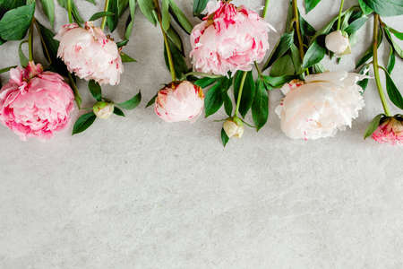 Beautiful pink peony flowers on gray stone table with copy space for your text. Flat style, top view
