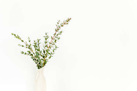Branches of eucalyptus in vase on table on light background. Home decor. Blog, website or social...