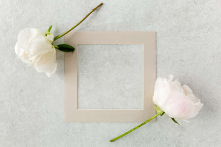 Frame made of pink peonies flower on gray background. Flat lay, top view. Frame of flowers.