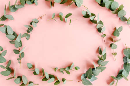 Frame, pattern made of branches eucalyptus, leaves and cotton isolated on pink background with empty space for text. Flat lay, top view.の写真素材