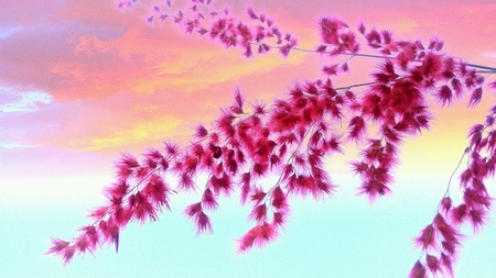 Pink flowersの素材