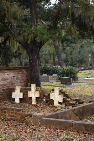 Unmarked Greek crosses as tombstones in cemeteryの写真素材
