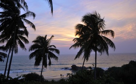 Palm trees at the beach at a beautiful sunset in Sri Lankaの写真素材