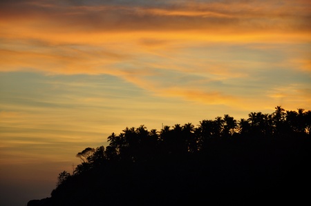 Silhouettes of Palm Trees against a dramatic sky at Sunsetの写真素材