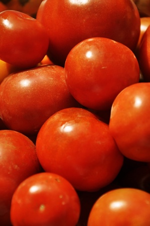 Fresh Tomatoes の写真素材
