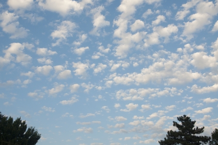 Trees against a beautiful cloudscapeの写真素材