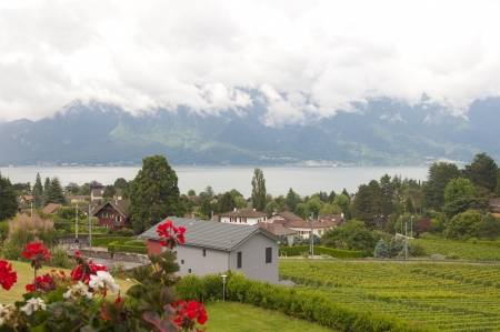 Houses and geraniums amidst vineyards by Lake Geneva in Vevey, Switzerlandの写真素材