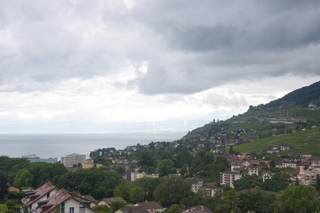 Houses amidst vineyards on a cloudy dayの写真素材