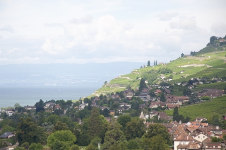 Houses surrounded by Greenery besides Lake Genevaの写真素材