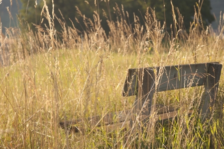 A wooden bench in the countrysideの写真素材