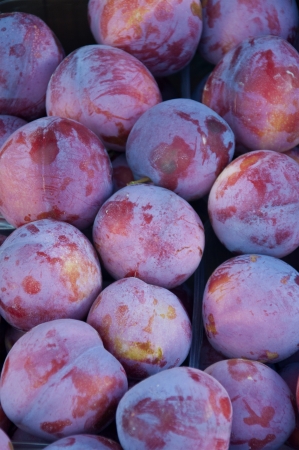 Plums for sale at a farmer s market in Switzerlandの写真素材