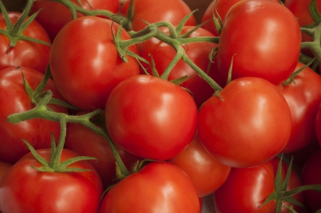Tomatoes for sale at a farmer s market in Switzerlandの写真素材
