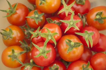 A Heap of Star Tomatoesの写真素材