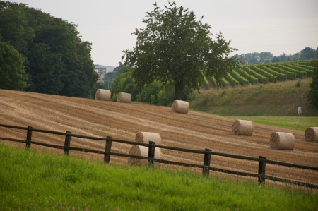 Bales of hay in a field in Switzerlandの写真素材