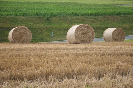 Bales of hay in a field in Switzerlandの写真素材