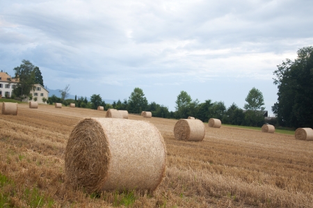 Bales of hay in a field in Switzerlandの写真素材