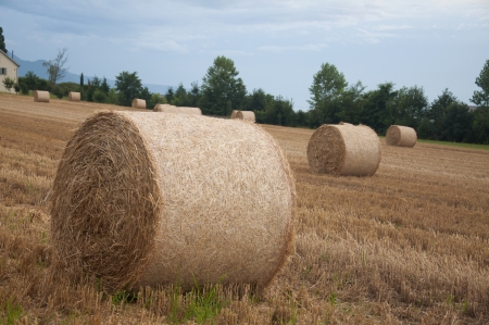 Bales of hay in a field in Switzerlandの写真素材