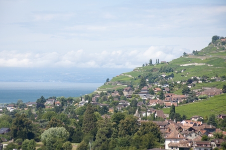 Houses amidst vineyards in Vevey, Switzerlandの写真素材