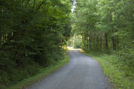 A Path through the Forest in Bavaria, Germanyの写真素材