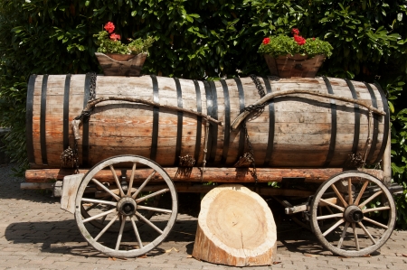 Wine Barrels in Aigle, Switzerlandの写真素材