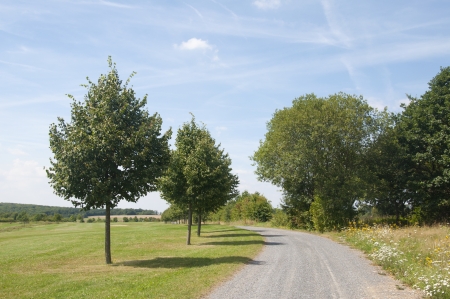 A Path Along a Golf Course in Germanyの写真素材