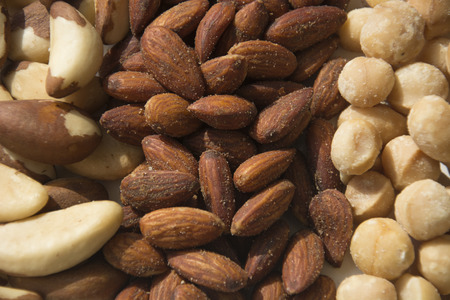 An assortment of roasted and salted Macadamia Nuts, Almonds and Fresh Brazil Nutsの写真素材