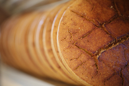 Corn Bread, Bakery Products, Pastry and Bakery