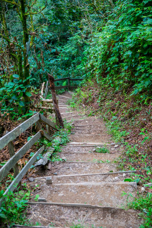 Black Sea Artvin Mencuna Trail Road, Turkey View