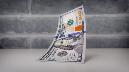 Single $100 Bill on Plain Background for Financial Conceptsの写真素材