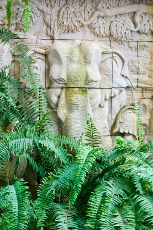 carved elephant on stone wall in fern gardenの写真素材