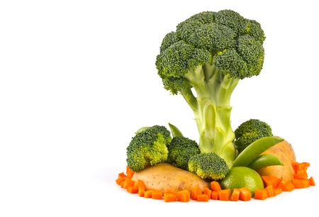 vegetable tree model isolated on white backgroundの写真素材