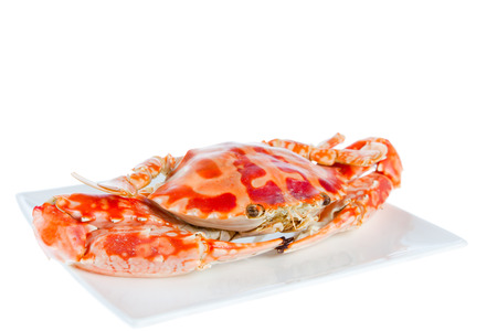 Delicious cooked hot steamed blue crab on a plate,isolated on white background, shot in studioの写真素材