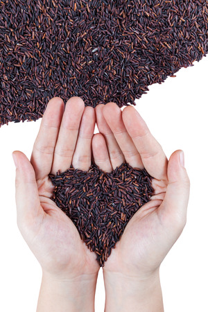 Organic rice heart-shaped on palm of asian woman hand over brown rice pileの写真素材
