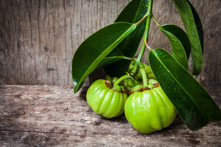 Garcinia atroviridis fresh fruit on old wood background and free form copy space. It's thai herb and sour flavor lots of vitamin C. Low key picture style. Water drops on leafs. Extract as a weight loss product.の写真素材