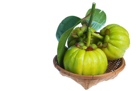Still life garcinia atroviridis fresh fruit on wood basket. Isolated on white background. Thai herb and sour flavor lots of vitamin C. Extract as a weight loss product.の写真素材