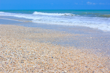 A tranquil sea scene. The waves crashing roll in and out are foamy. Beautiful seashells on beach,...