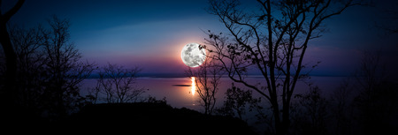 Panorama. Tree against sky over tranquil lake. Silhouettes of woods and beautiful moonrise, bright full moon would make a nice picture. Beauty of nature use as background. Outdoors.の写真素材