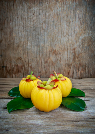 Garcinia cambogia fresh fruit on wood background. Garcinia atroviridis is a spice plants and high vitamin C and hydroxy citric acids (HCA) for diet and good health.の写真素材