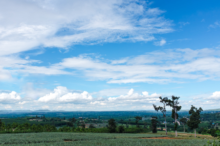 Colorful landscape of beautiful nature against blue sky and cloudy over tranquil nature. Outdoor at the daytime on summer day. Idyllic rural view of pretty surroundings.の写真素材