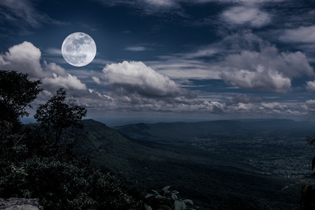 The perfect combination of natural beauty at national park. Evergreen forest against beautiful sky and bright full moon at night. Outdoor. The moon were NOT furnished by NASA.の写真素材