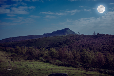Evergreen forest of beautiful nature with night sky and beautiful full moon over tranquil nature, mountain landscape. Outdoor in the evening. Cross process and vintage tone.の写真素材