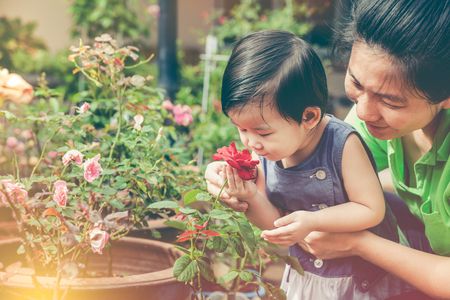 Asian mother and daughter admiring for red rose flowers and nature around backyard. Happy family having fun at garden. Concept about outdoors for children on summer day with sunlight. Vintage tone.の写真素材