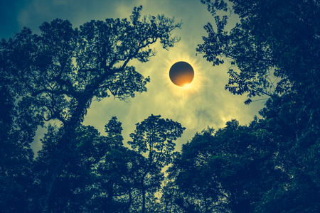 Amazing scientific natural phenomenon. The Moon covering the Sun. Total solar eclipse with diamond...