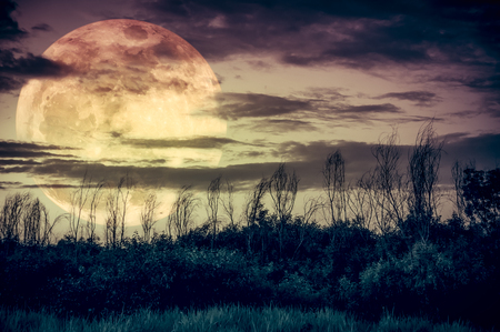 Supermoon. Night landscape of sky with dark cloudy and moon over silhouette of trees in a wilderness area, outdoor in gloaming. Serenity nature background. Vintage tone. The moon taken with my camera.の写真素材
