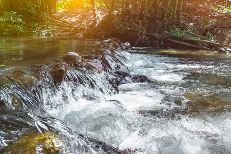 Nice clear canal water flows in green forest. Bamboo trees with bright sunlight, outdoor on summer day. Waterfall river flow from forest landscape. Serenity nature background.の写真素材