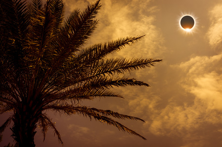 Scientific natural phenomenon. Prominence and internal sun's corona. Total solar eclipse with diamond ring effect glowing on sky above silhouette of trees. Sepia tone. Serenity nature background.の写真素材