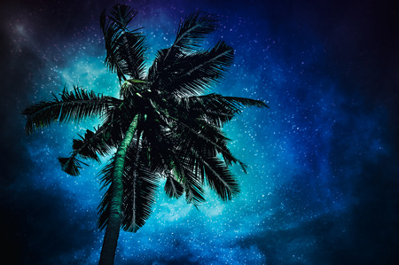 Glowing of the milky way galaxy in the night sky with many stars above coconut plam. Beautiful natural glitter of starry on darkness background. Serenity nature.の写真素材