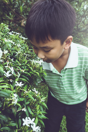 Adorable asian boy admiring for white blooming flowers and nature around backyard. Child having fun at garden. Outdoors on summer day with bright sunlight. Vintage film filter effect.の写真素材