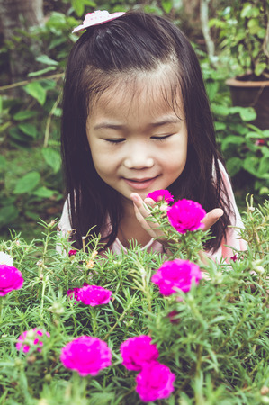 Adorable asian girl admiring for pink blooming flowers and nature around backyard. Child having fun at garden. Outdoors on summer day. Vintage film filter effect.の写真素材